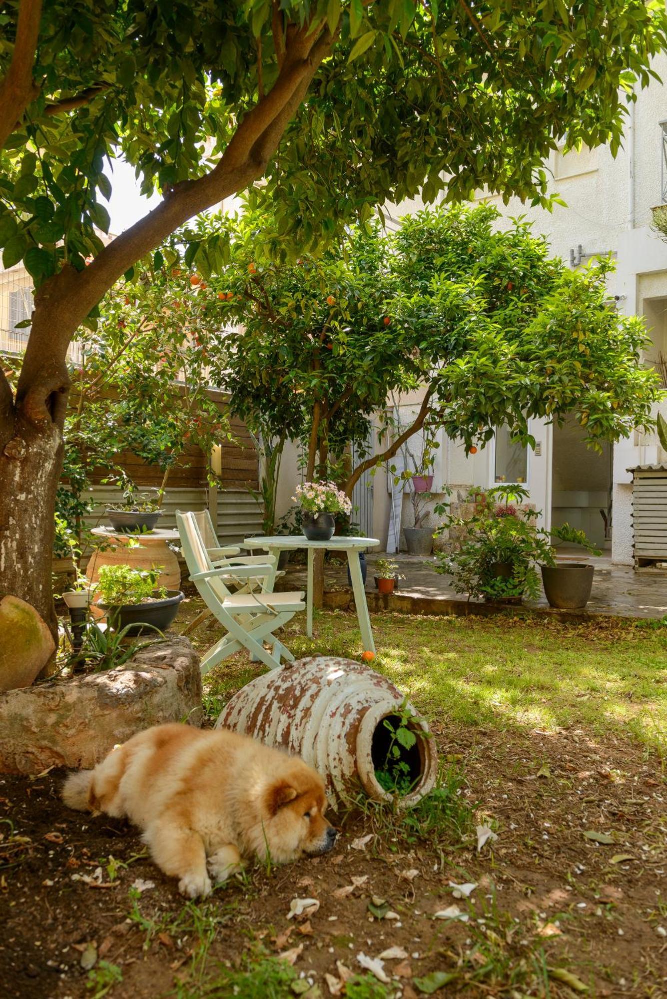 Agali 1 Superior Maisonette Kalamata Bagian luar foto